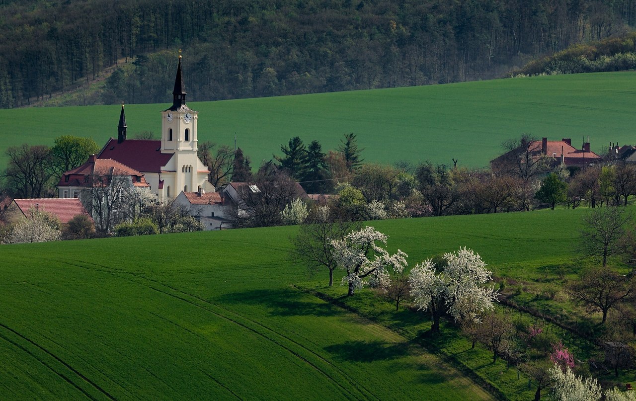  , .  (Morava)       ,      ...