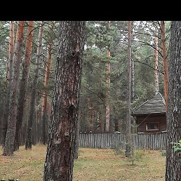 ����, ����������, 56 ���