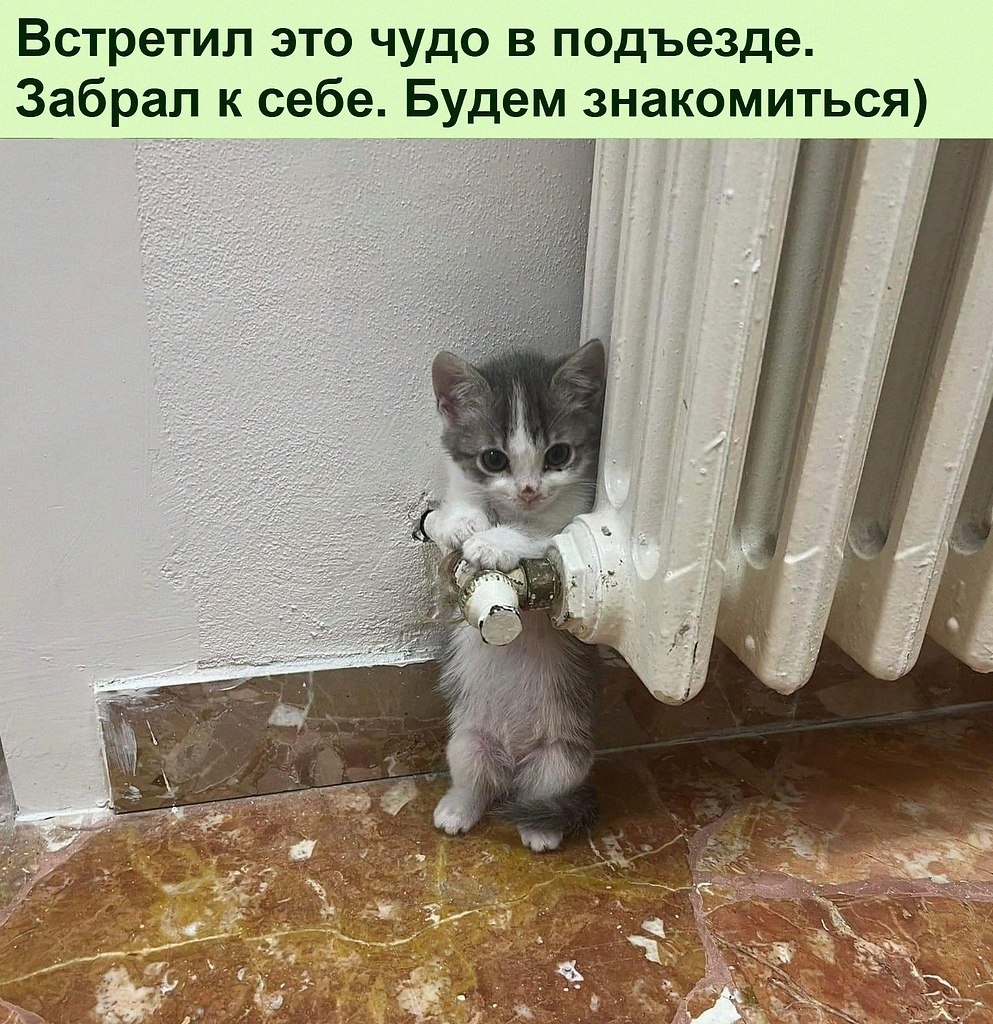   :D - 18  2022  22:49
