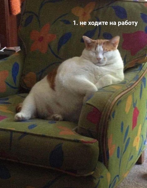     :