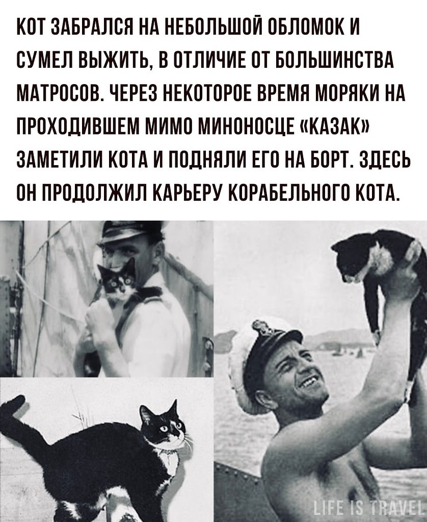 LIFE -  - 29  2022  07:54 - 4