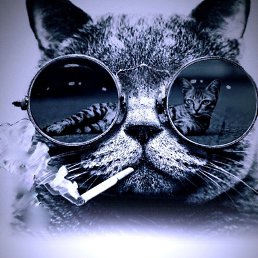 ���� �����, ���������, 38 ��� - ��������� 22 ������� 2022