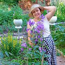 ���� �����, ����������, 69 ��� - ��������� 1 ���� 2022 � ������ ���� ����������