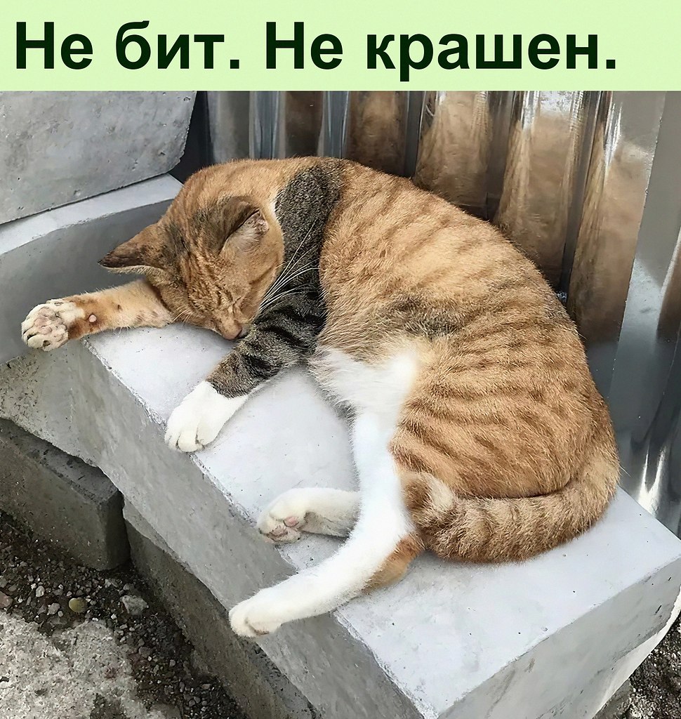   :D - 13  2022  11:40