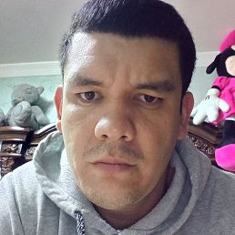 Zokir, , 36 