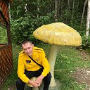 ���� ���������, ����������, 57 ��� - ��������� 27 ������ 2022