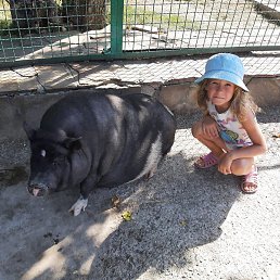 �����, ���������, 66 ���