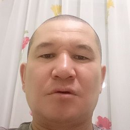 ������, ������, 37 ���