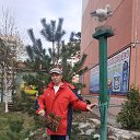 ���� �, �����, 51 ��� - ��������� 6 ��� 2022 � ������ ���� ����������