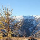 ���� ����, ������, 62 ���� - ��������� 4 ������� 2022 � ������ ������, ���� ������