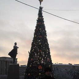 ���� �����, ������, 43 ���� - ��������� 5 ������ 2023