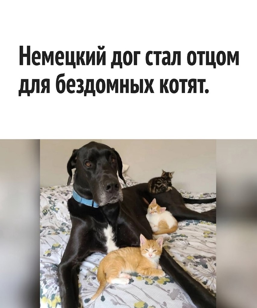       - 20  2022  15:33