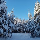 ���� ������, �����, 38 ��� - ��������� 11 ������� 2022 � ������ ���� ����������