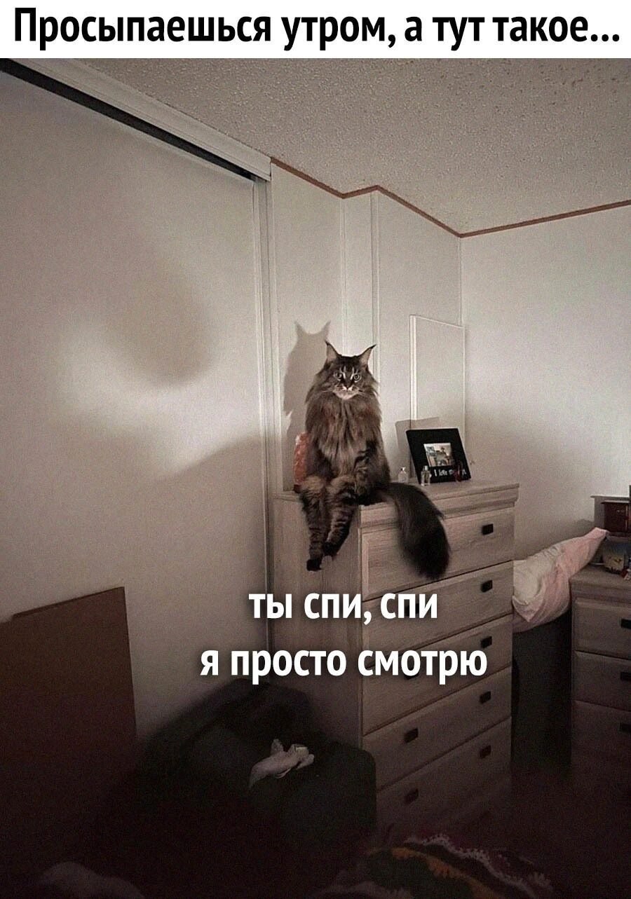 ***Victoria Viktorovna*** - 18  2023  05:23