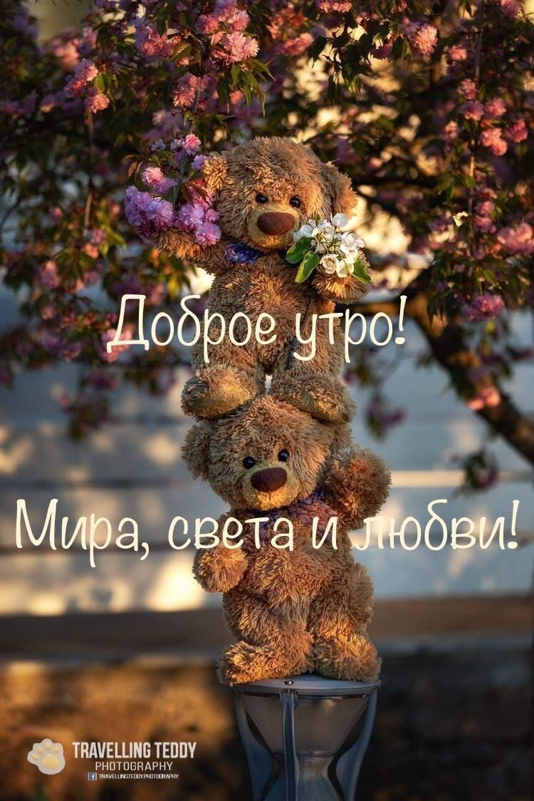 ***Victoria Viktorovna*** - 4  2022  08:44