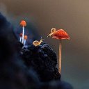 ���� Suiu, ������� - ��������� 18 ���� 2022 � ������ ���� ����������