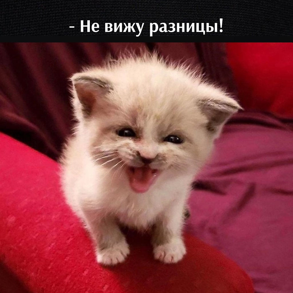       - 7  2023  11:30 - 4