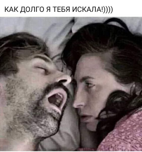   - 11  2022  23:36