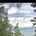 ���� �����, ����, 38 ��� - ��������� 2 ������� 2022