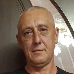 , , 50 