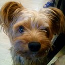 ���� ����, �����, 45 ��� - ��������� 7 ������ 2023