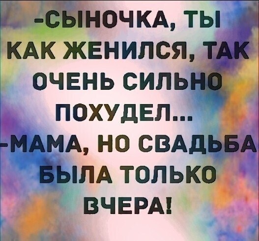 ☆ ☆ - 6  2022  23:18