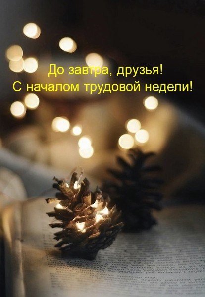   ,    . - 8  2023  20:38
