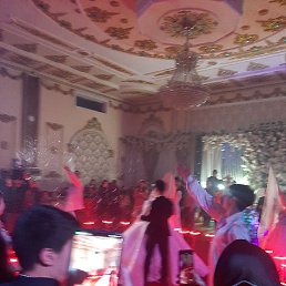 �����, �����, 48 ���