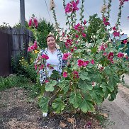 ������, 65 ���, ��������