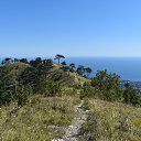  , , 84  -  23  2022   .