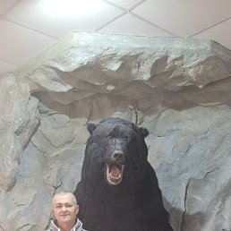 ���� ����, ������, 61 ��� - ��������� 5 ������ 2023