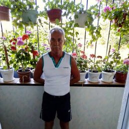 ���� ������, ����, 65 ��� - ��������� 4 ������ 2022