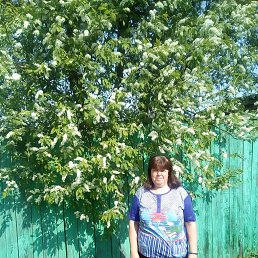 ���� �������, ������������, 49 ��� - ��������� 19 ������ 2023