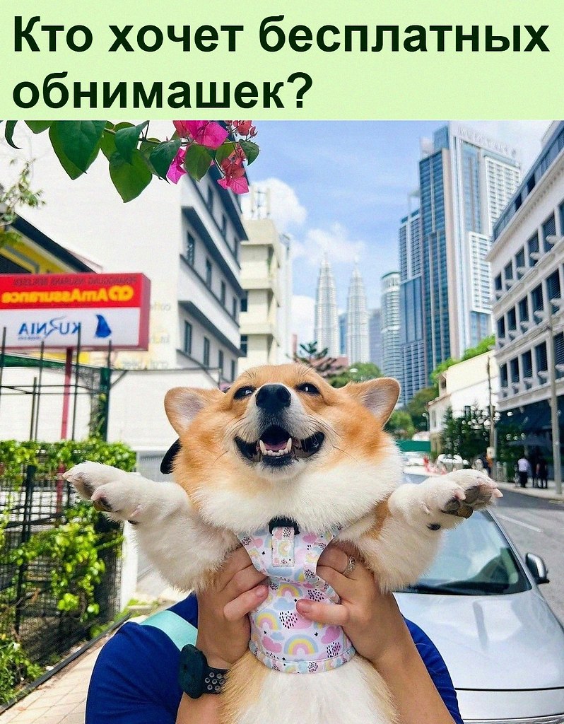   :D - 16  2022  11:29
