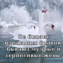  , , 65  -  28  2022