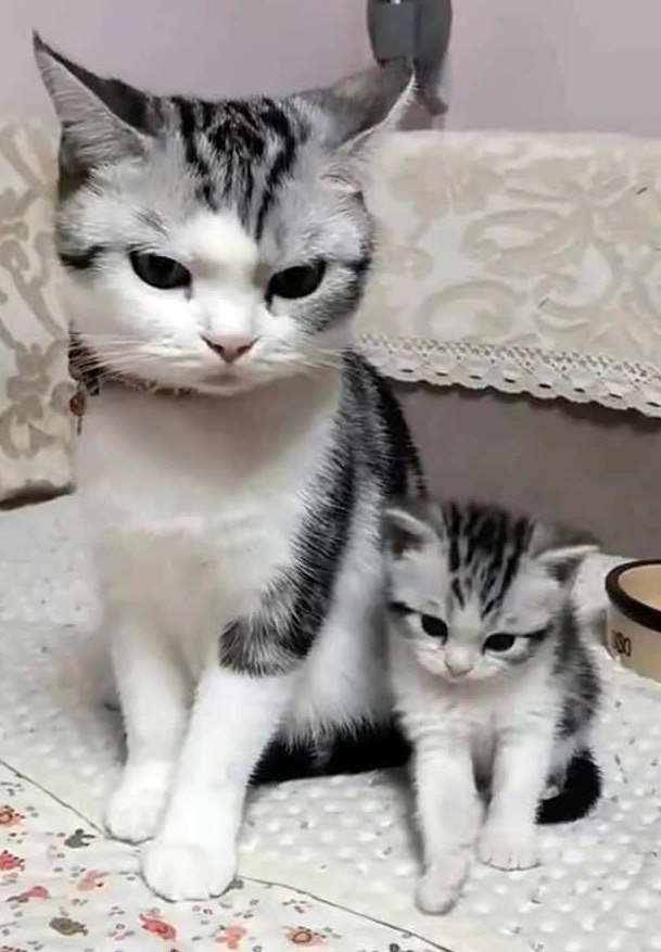   - 
