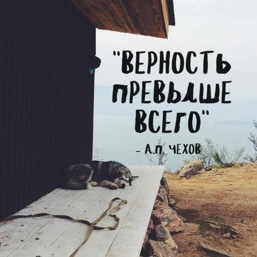   - 21  2022  16:24