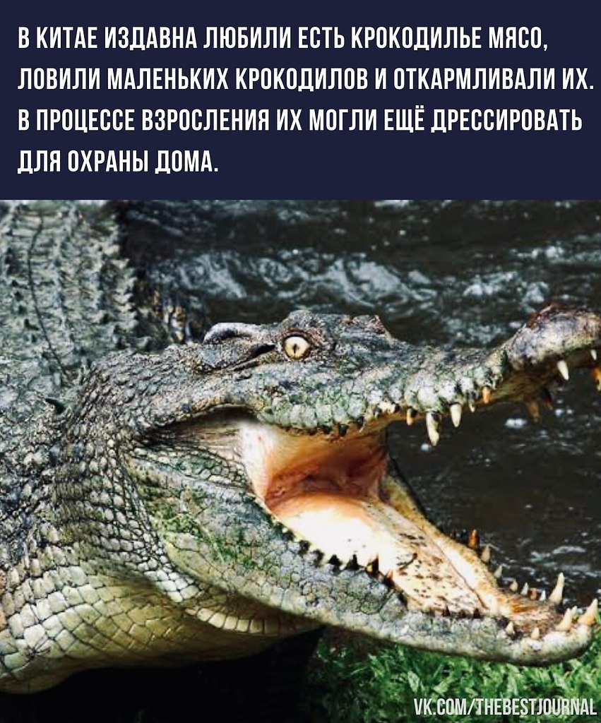 BEST | , ,  - 2  2022  07:56 - 2