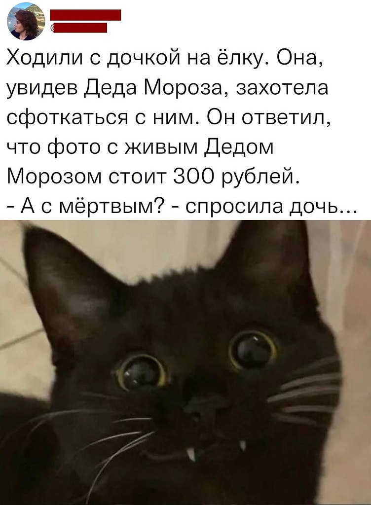 JPG - 4  2023  19:38