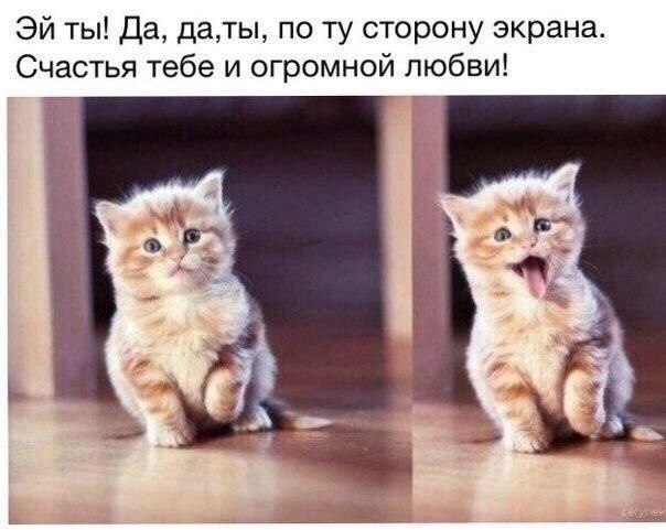    - 19  2022  01:33