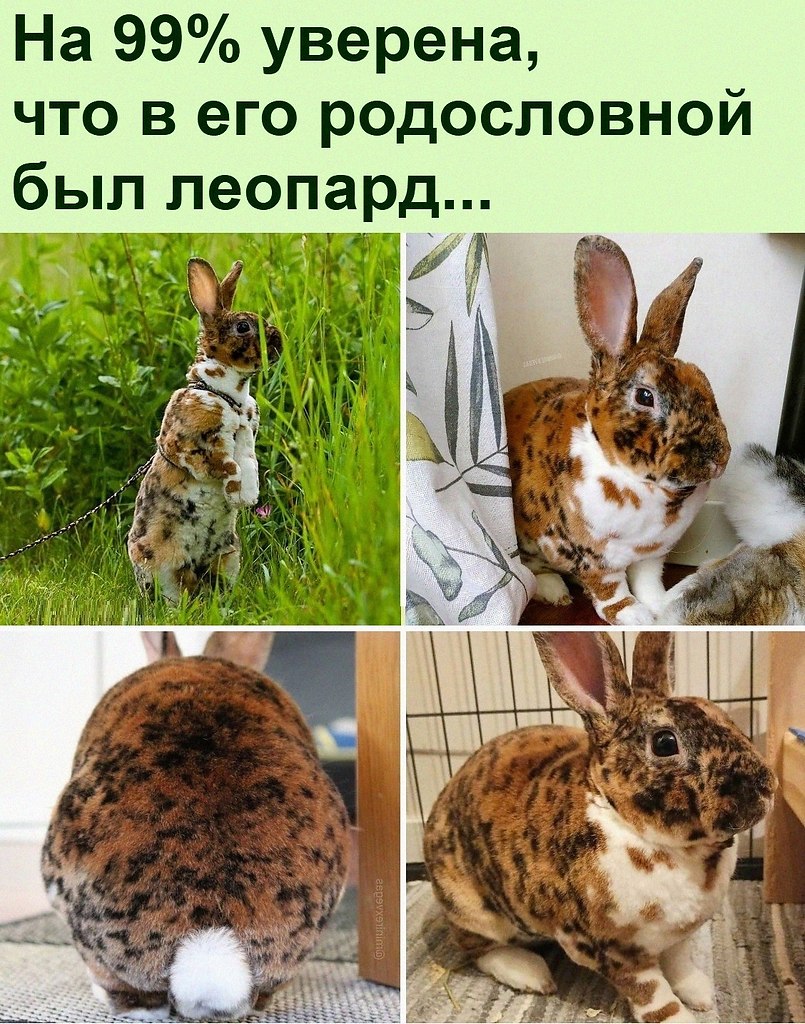 ������ ��������� :D - 4 ������� 2022 � 14:31
