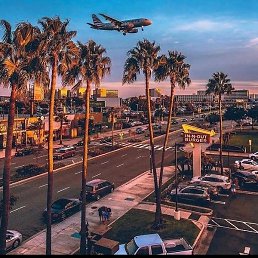 ������, �������, 36 ���