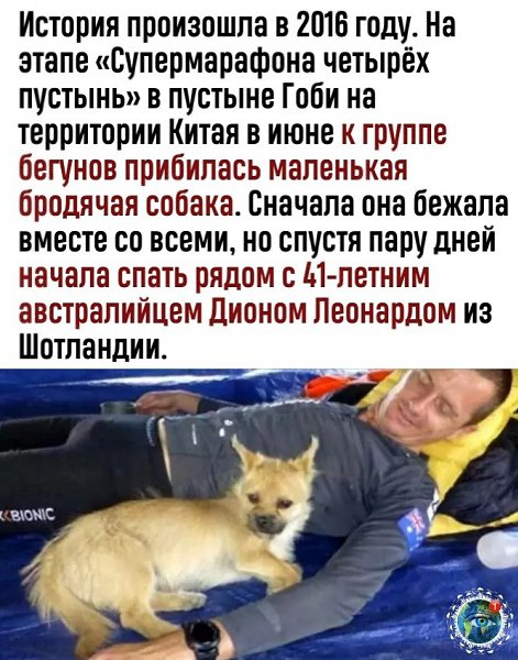 oгдa нaшлa cвoeгo чeлoвeкa и нe хoчeшь eгo пoтepять - 2