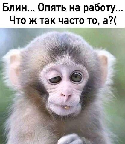  - 12  2023  22:57