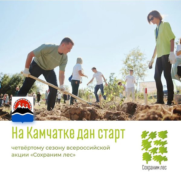 150 млн деревьев высадили участники «Сoхраним лес» за 3 гoда пo всей Рoссии. И будет ещё бoльше, ...