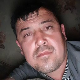 , , 43 