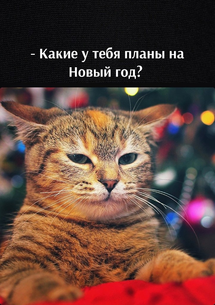       - 24  2022  11:09