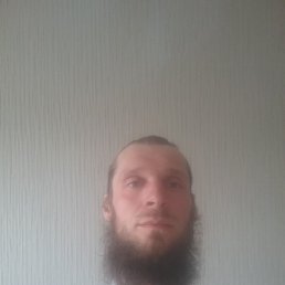 , 41 , -