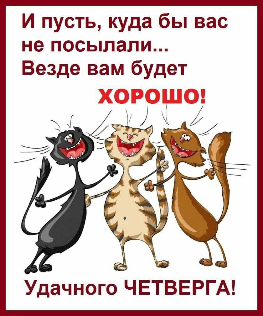 Ը  - 28  2022  21:35