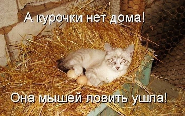    - 23  2022  12:14